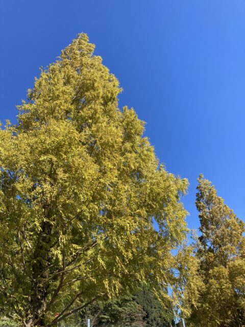 2021〜2022年末年始のご依頼について