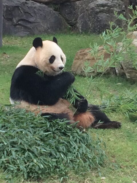 2018.11月12月のお休みのお知らせ