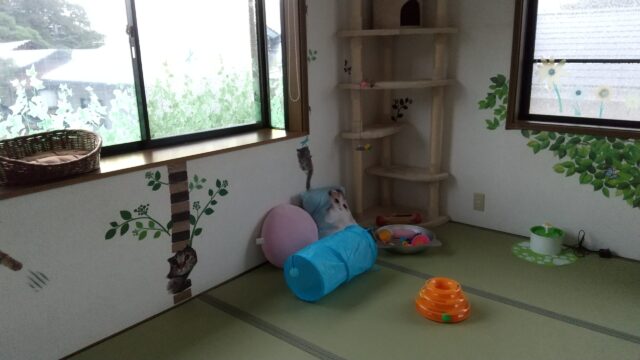 おもちゃが増えました