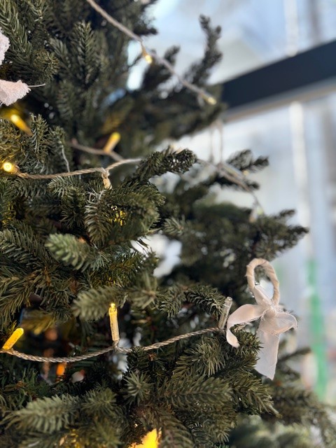 年内のご予約の受付を締め切りました