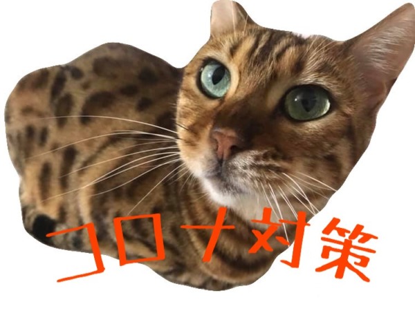 新型コロナウイルス対策