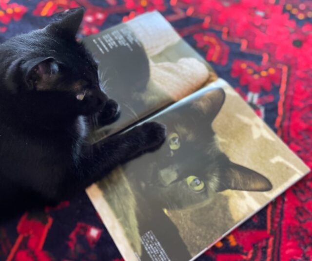 年末年始のご予約について