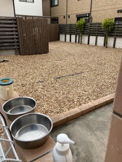 沼津市ペットシッター 函南町ドッグカフェLEONさんでコーヒータイム☕