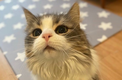 うみちゃんのお留守番