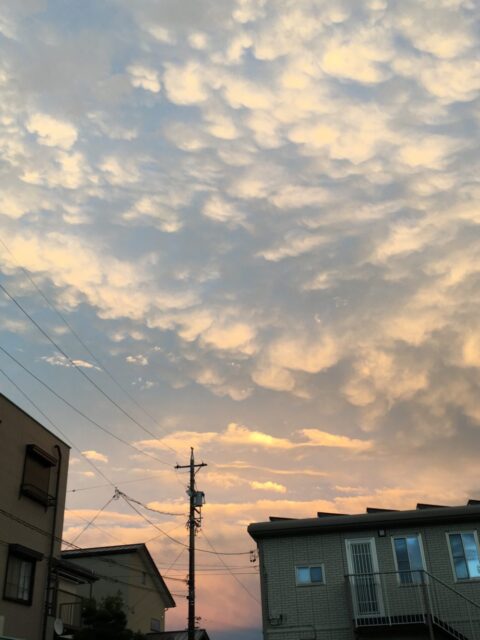 2019〜2020 年末年始繁忙期のお知らせ