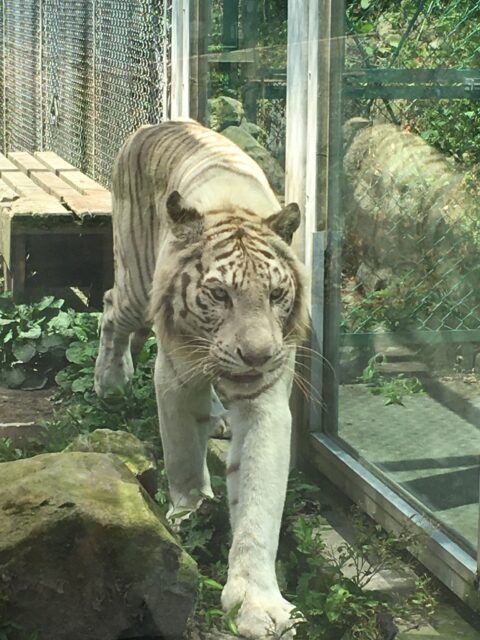 2020.11月のお休み