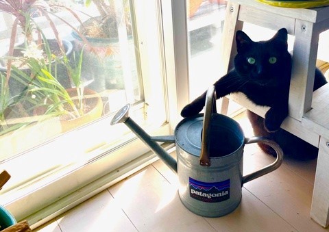 お休みのお知らせ　5月25日・5月26日