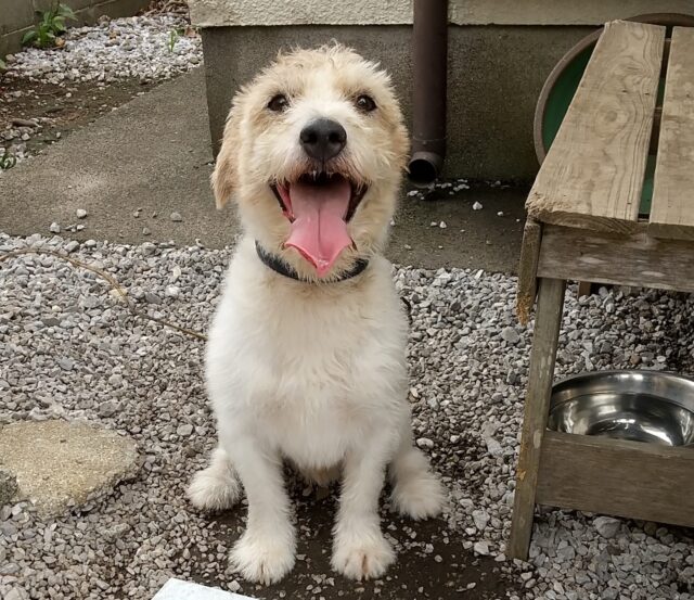 京ちゃん、お散歩楽しいね‼️