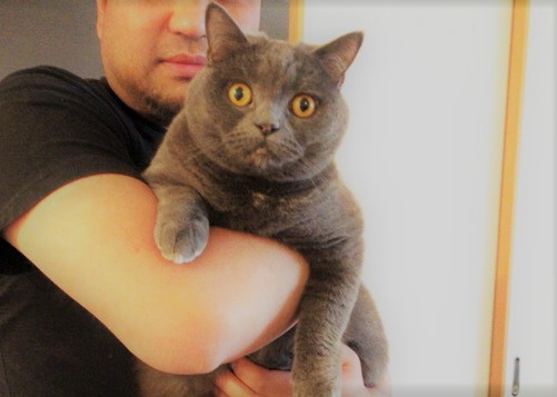 川口市　モラタちゃん　初回訪問　キャットシッター