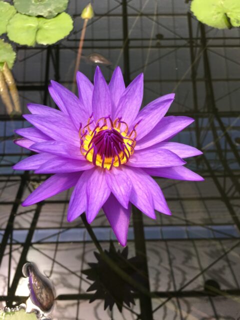 2019.9月シルバーウィーク繁忙期のお知らせ