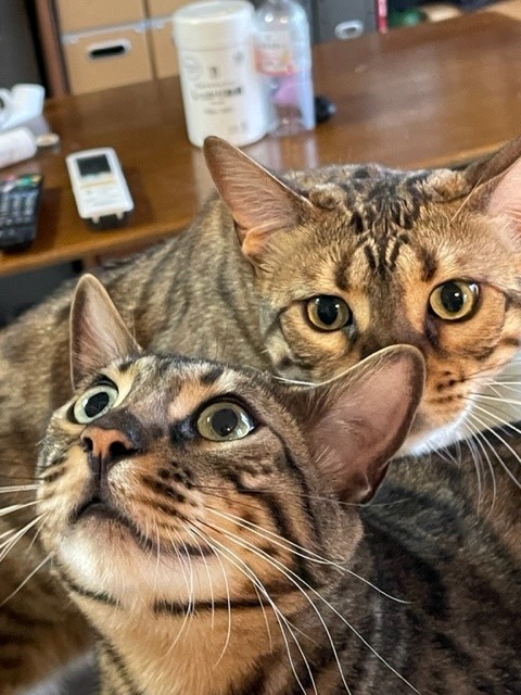 そら君とうみちゃん