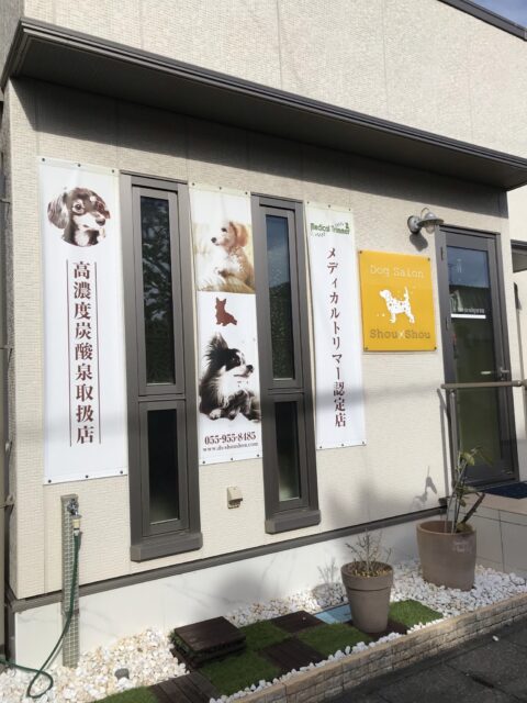 沼津市ペットシッター　素敵なサロンのご紹介✨シュシュさん