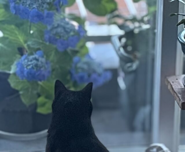 現在の受付状況について