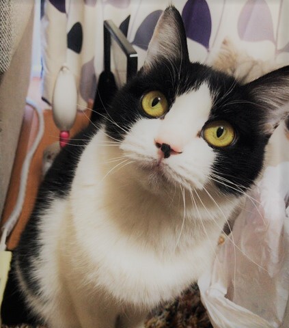 蕨市 マシェリちゃん、ダリアちゃん お世話の様子