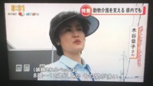 老犬特集ニュースに出ました