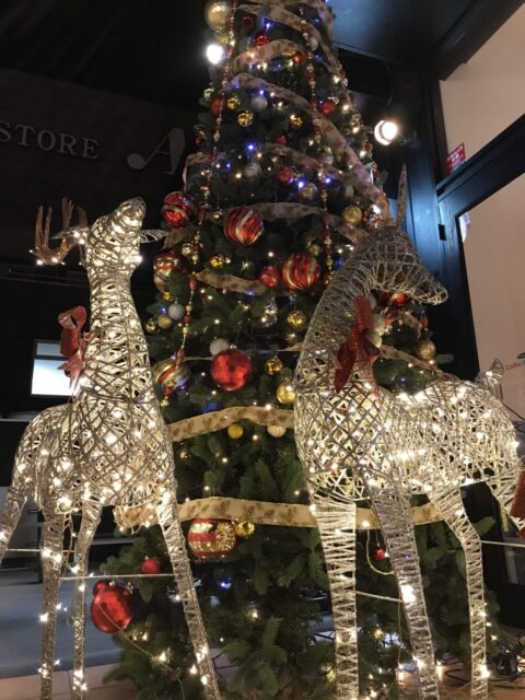 店長ひまりの日々&沼津市 散歩代行 お客様の声