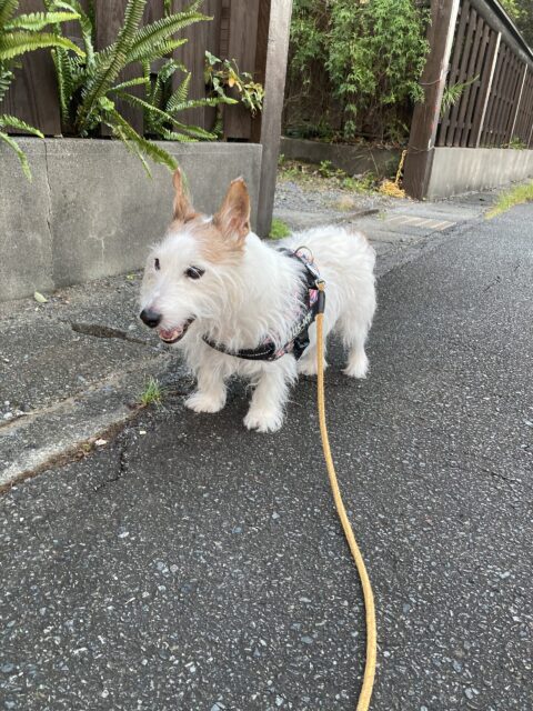 2022.10月のお休み