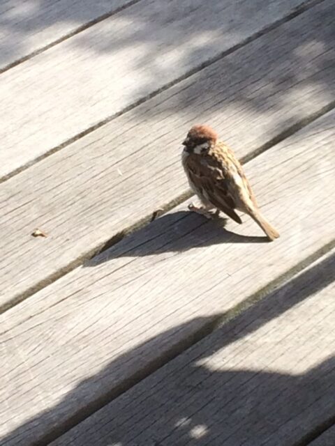 2018.9月のお休みのお知らせ