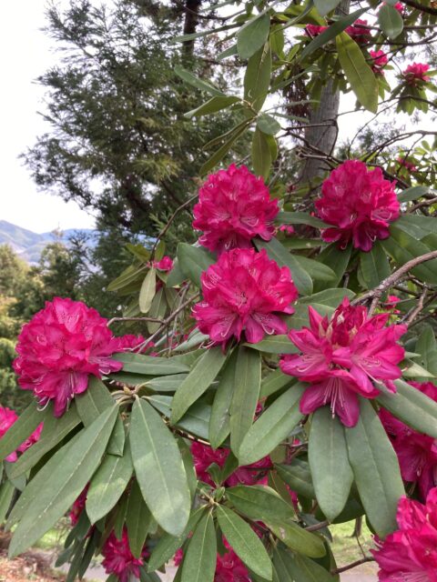 ブログ更新、しばらくお休みしております