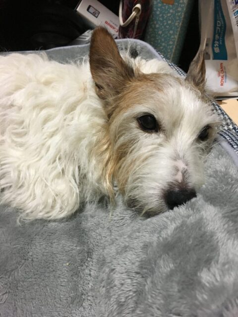 2019.11月のお休み