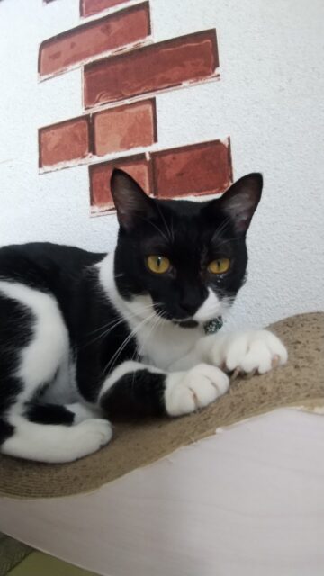 なつちゃん、初めてのお泊りホームスティ