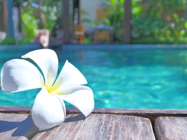 2019年度夏季繁忙期のお知らせ