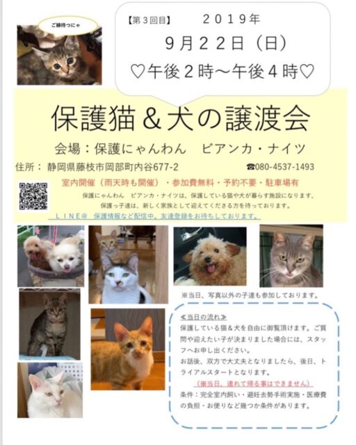 R1.9.22譲渡会のお知らせ