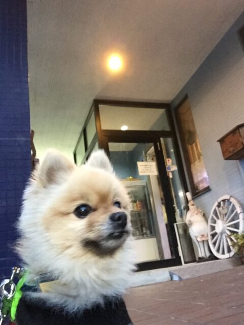 沼津市 地域で愛されるお店