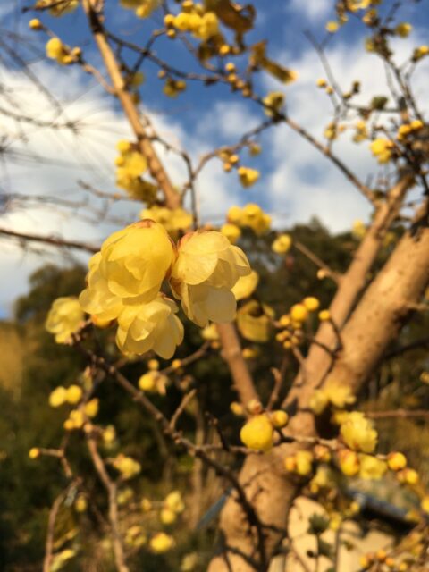 2019.３月４月のお休みについて