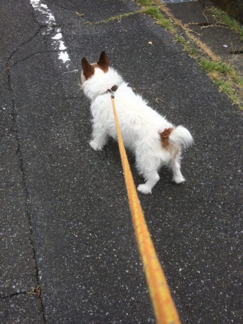 2018.9月シルバーウィーク繁忙期のお知らせ