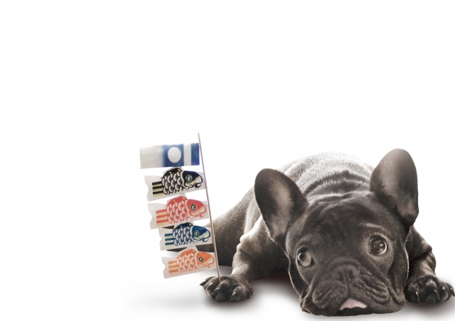 🌟ゴールデンウィークのお知らせ🌟