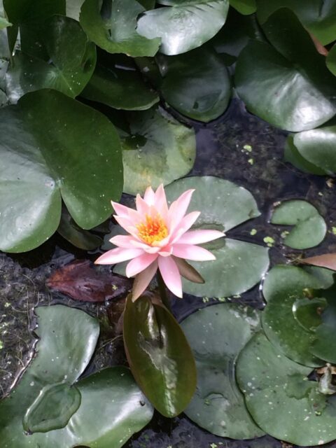 2018.10月のお休みの変更について