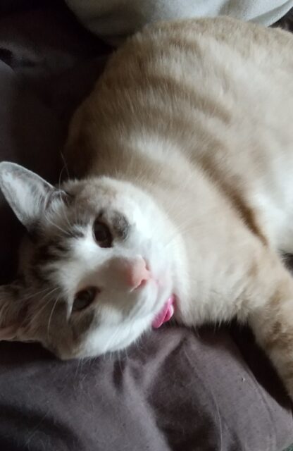 アイルくん、お留守番頑張ったね