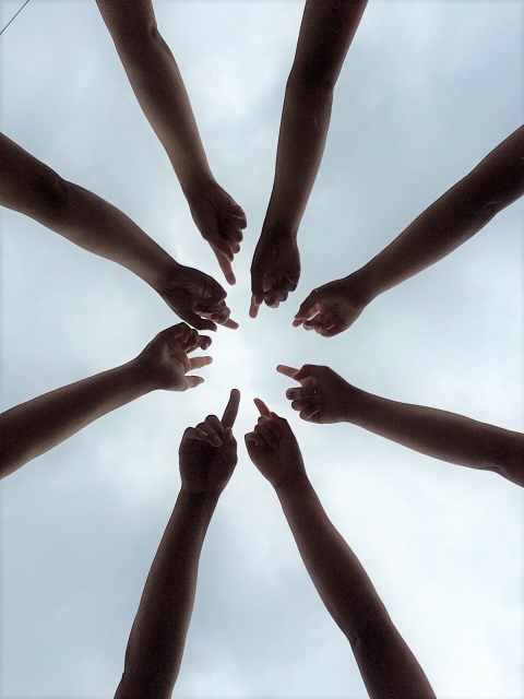 静岡県東部  アツい！ペットシッター部発足♫