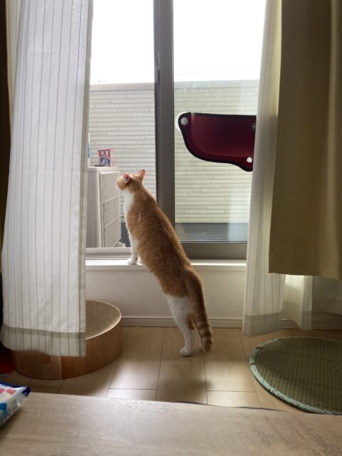 重要なお知らせ〜ご依頼の受付に関して