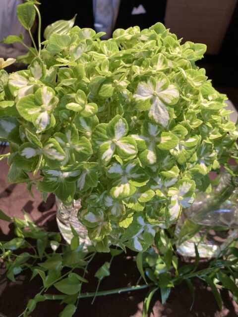 2021.11月のお休み、年末年始繁忙期について