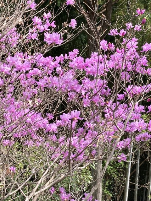 2022.GW繁忙期(4/29〜5/5)について