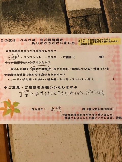 ペットシッター  お客様の声  裾野市