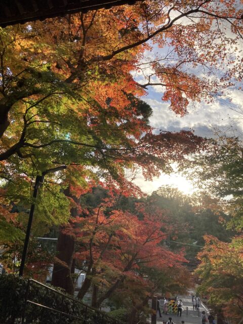 2023.1.9までのご依頼を締めきらせていただきます