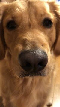 華ちゃんに　遊んでもらいました