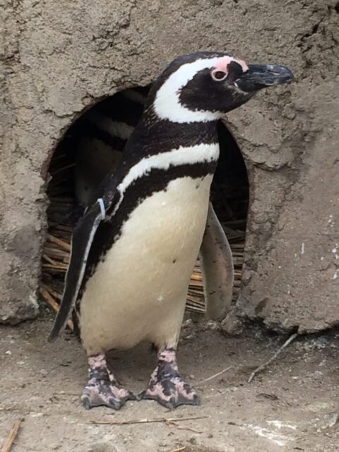 2018.8月夏季繁忙期のお知らせ