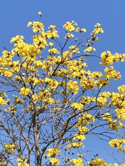 2021.4月のお休みについて