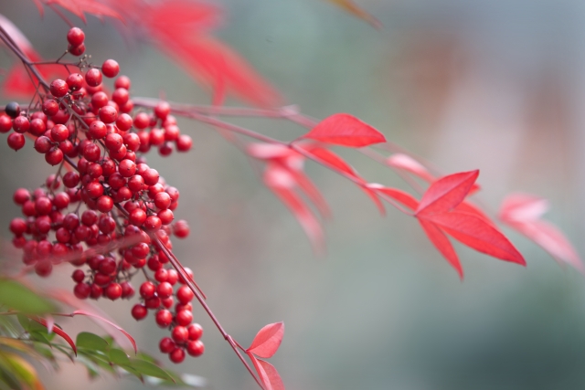 ☆年末年始のお知らせ☆
