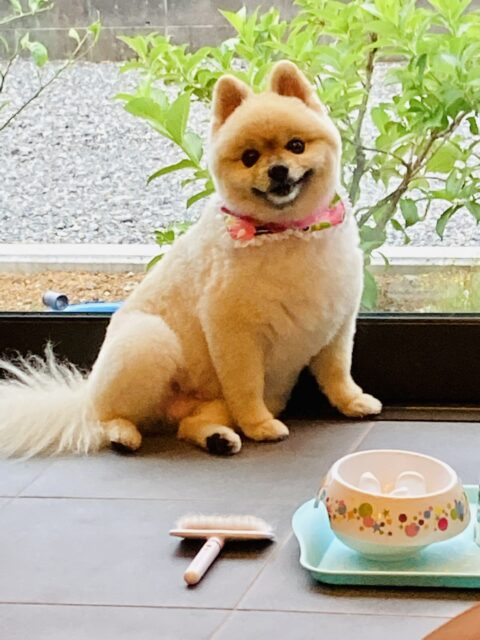 ★8/11～8/16　夏季繁忙期のお知らせ★