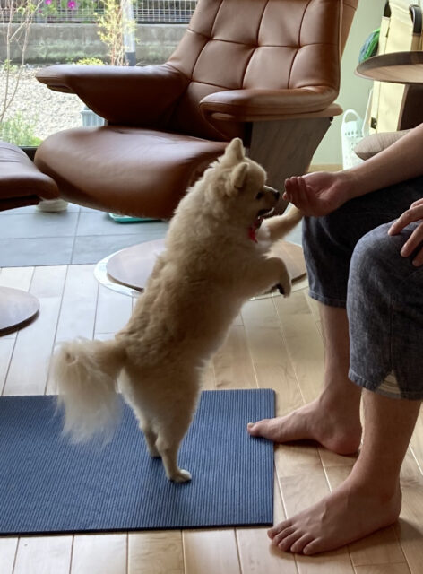 ❁9月受付終了のお知らせ❁