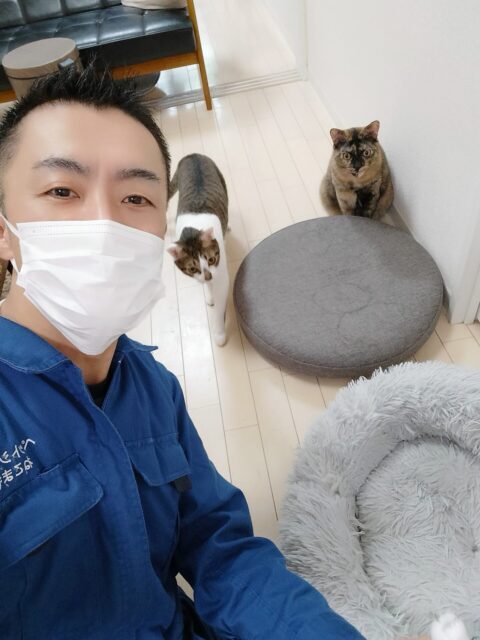 中野区 お得意様 2匹の仲良しニャンちゃん お世話レポート🐈