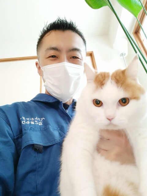 新宿区 お得意様 くりくりお目目のスコくん お世話レポート🐈