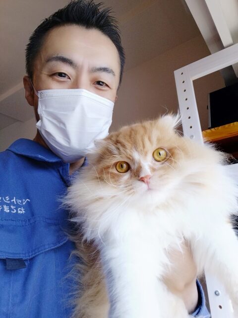 中野区 お得意様 ふっさふさ〜スコくん お世話レポート🐈