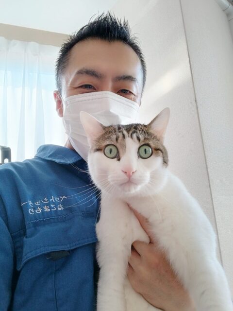 新宿区 ご新規様  日に日に懐いてくれた  キジシロくん  お世話レポート🐈