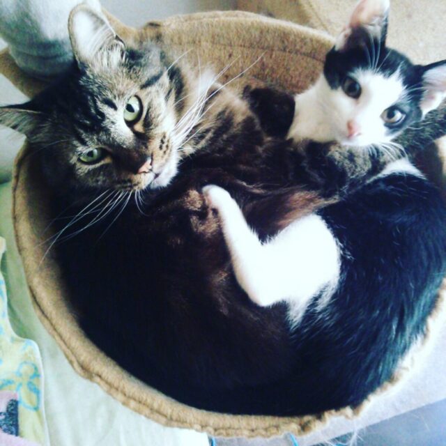 船橋市・八千代市で旅行を検討している皆様へ